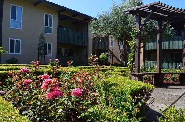 Apartments on Whitman Street · Hayward photo 3