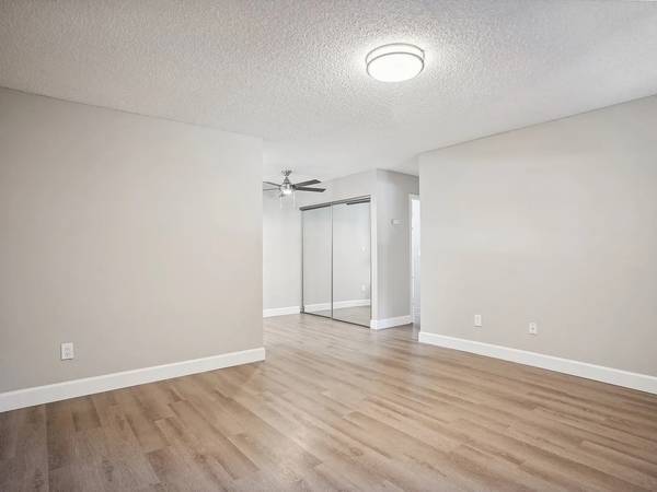 1BR/1BA Other on Fillmore St · San Francisco photo 2