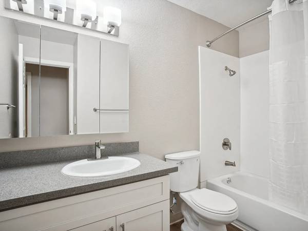 1BR/1BA Other on Fillmore St · San Francisco photo 5