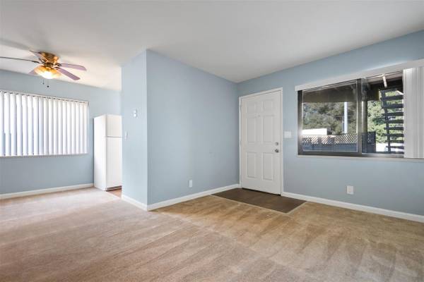 1BR/1BA Apartment on Latham Street · Mountain View photo 4