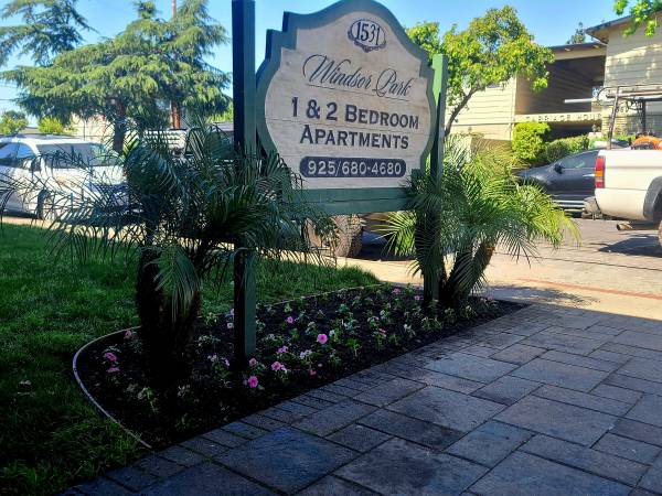 Apartments on Adelaide Street · Concord photo 4