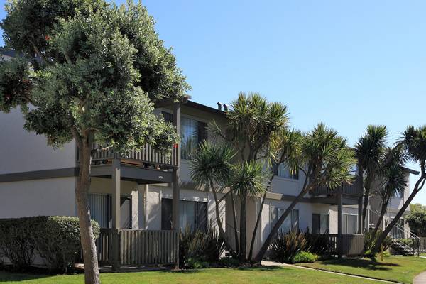 Apartments on Palmetto Ave · Daly City photo 5