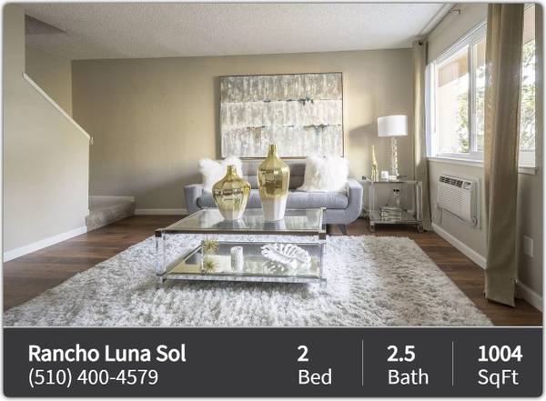 Rancho Luna Sol photo 2