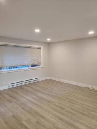 1BR/1BA Apartment · Brooklyn photo 4
