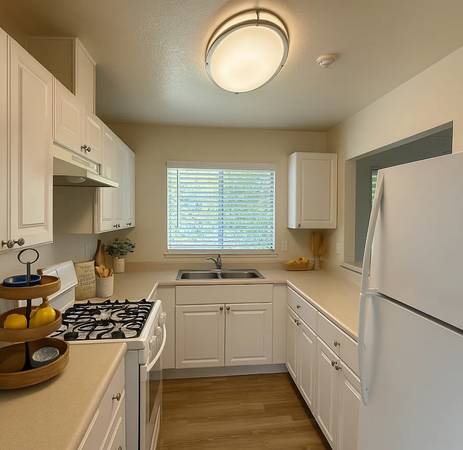 1BR/1BA Apartment on Commerce Blvd · Rohnert Park photo 3
