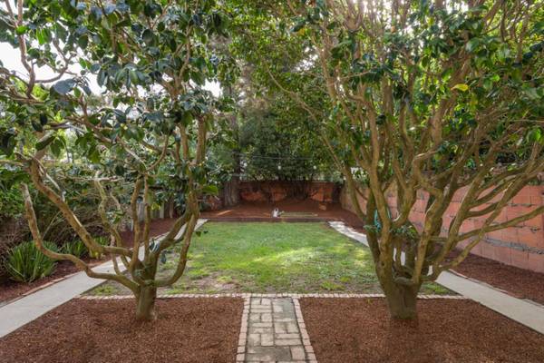1BR/1BA Condo on Bay Street · San Francisco photo 3