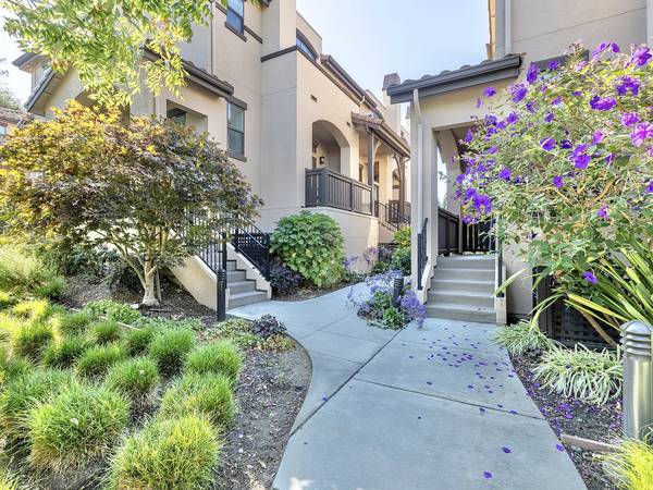 San Antonio Villas photo 2