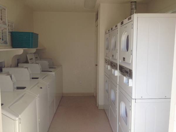 Windsor Park Apartments photo 5