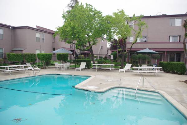 Apartments on Pine Street · Concord photo 2