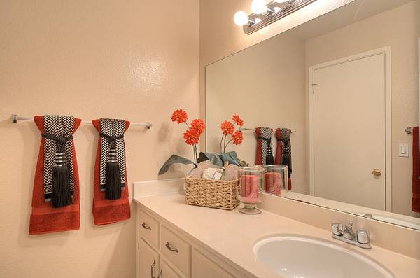 1BR/1BA Apartment on Haley Streeet · Newark photo 3