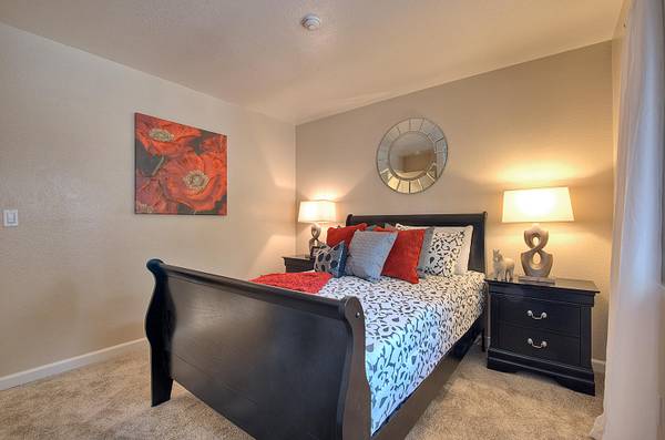 1BR/1BA Apartment on Haley Streeet · Newark photo 4