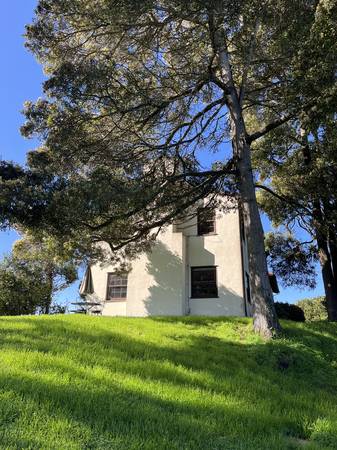 1BR/1BA Single Family House · San Francisco photo 3