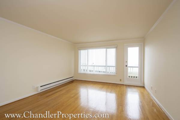 1BR/1BA Apartment on Clayton St · San Francisco photo 3