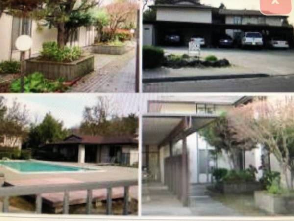 2BR/1BA Apartment on Camel Lane · Walnut Creek photo 2