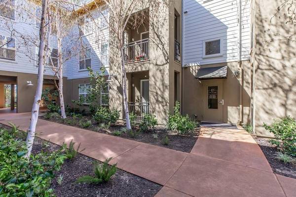 1BR/1BA Apartment on Schmidt Lane · El Cerrito photo 2