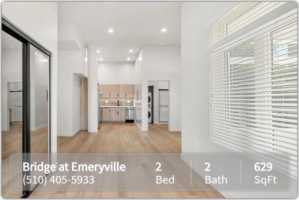 Apartments on 40th St · Emeryville photo 4