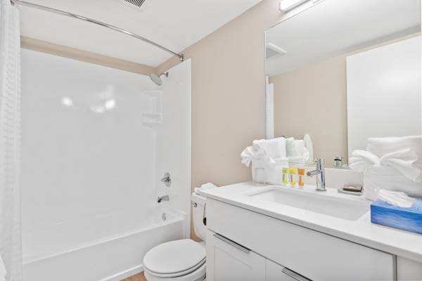 1BR/1BA Apartment on South Bascom Avenue · Campbell photo 4