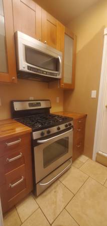 1BR/1BA Apartment · San Jose photo 2