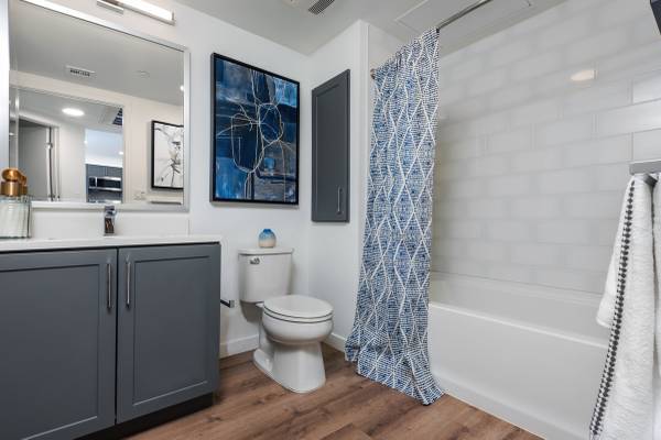 1BR/1BA Apartment on Diablo Road · Danville photo 4