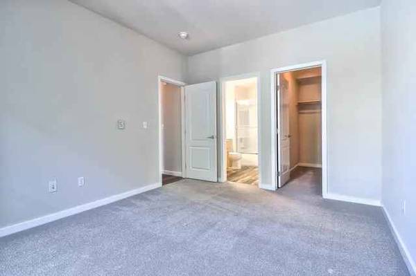 Buckingham Place Apartments photo 4