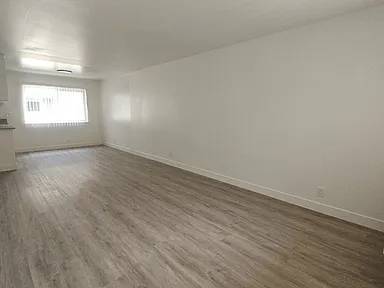 1BR/1BA Apartment · Brooklyn photo 4