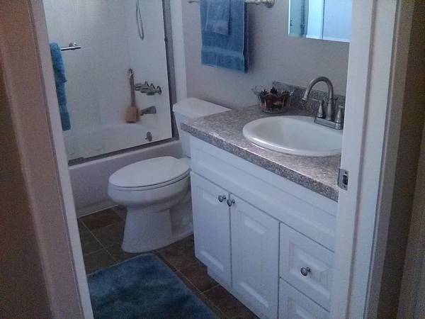 1BR/1BA Apartment on Main St · Santa Clara photo 4