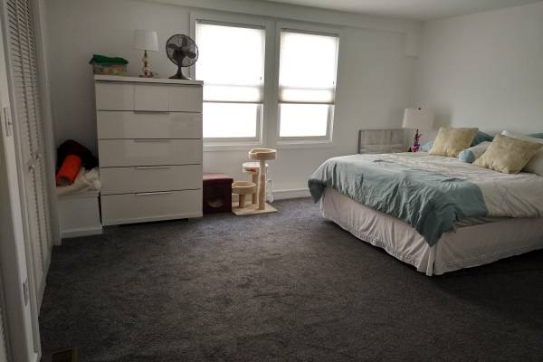 1BR/2BA Flat on Vallejo · San Francisco photo 5