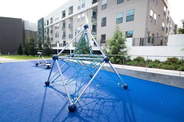 Cadence Apartments photo 2
