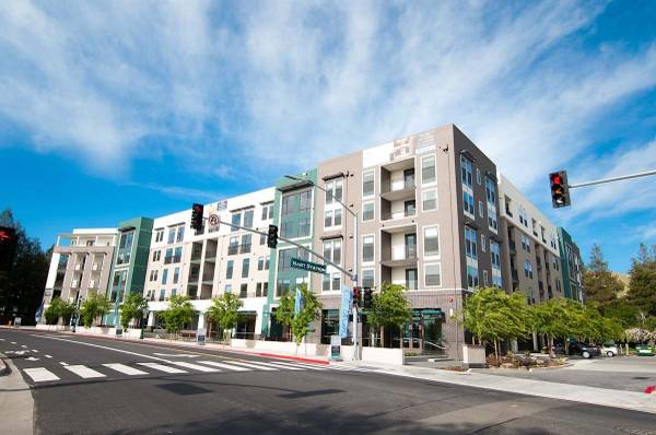 Cadence Apartments photo 3