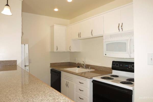 1BR/1BA Apartment · San Francisco photo 3