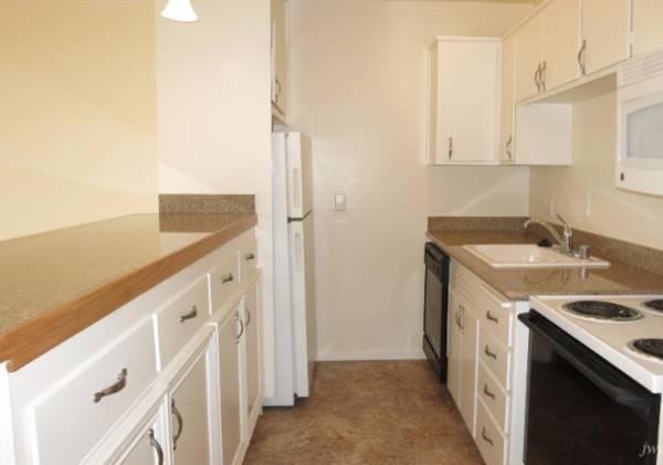1BR/1BA Apartment · San Francisco photo 4