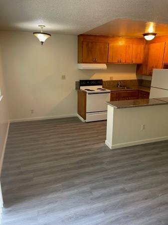 2BR/1BA Apartment on Delaware Street · Berkeley photo 3