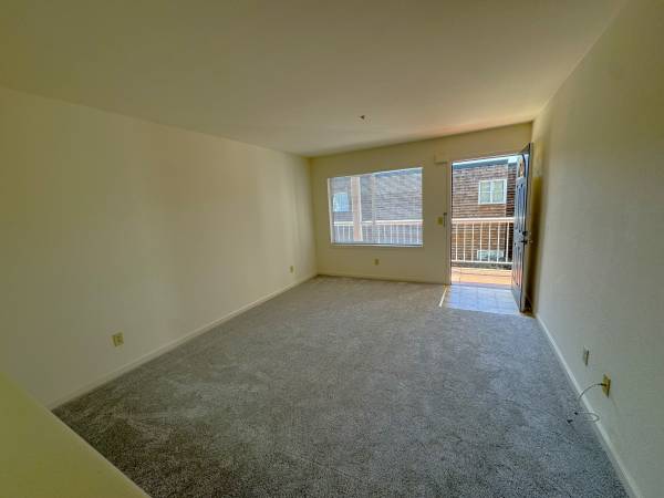 1385 Shattuck Avenue, Berkeley, CA 94709 photo 3