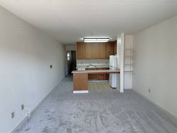 1385 Shattuck Avenue, Berkeley, CA 94709 photo 2