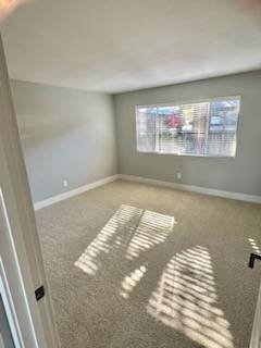 2BR/2BA Apartment · Larkspur photo 4