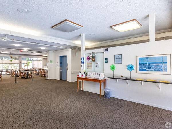0BR/1BA Apartment on Carlmont Drive · Belmont photo 2