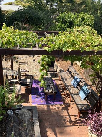 1BR/1BA In Law Adu · Berkeley photo 5