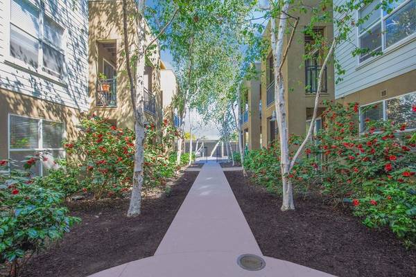 1BR/1BA Apartment on Schmidt Lane · El Cerrito photo 4