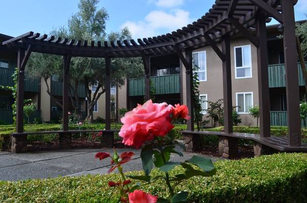 Apartments on Whitman Street · Hayward photo 5