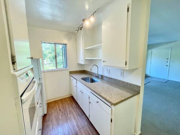 2BR/1BA Apartment on Sir Francis Drake Blvd · Fairfax photo 5