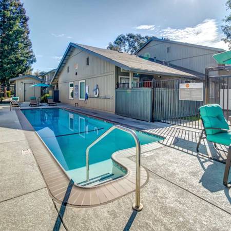 1BR/1BA Apartment on Paseo Padre Pkwy · Fremont photo 2