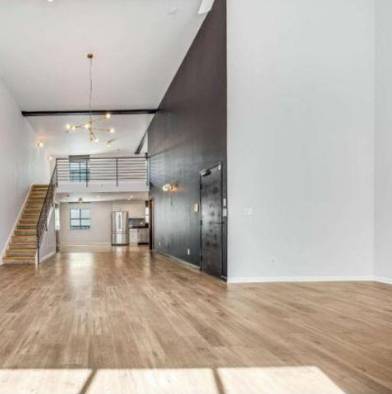 1BR/2BA Condo on Norfolk St · San Francisco photo 4