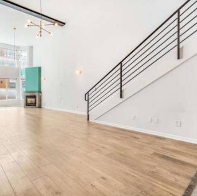 1BR/2BA Condo on Norfolk St · San Francisco photo 5