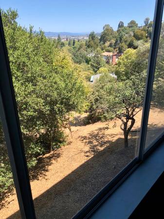 1BR/1BA In Law Adu · Kentfield photo 2