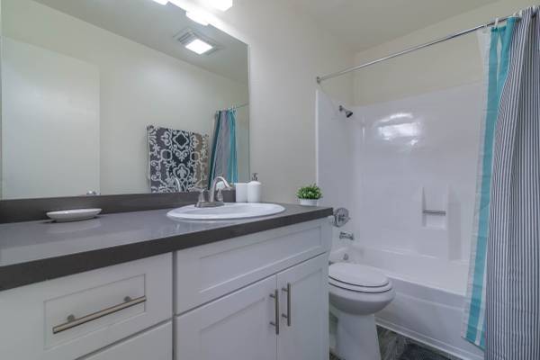 1BR/1BA Apartment · San Francisco photo 4