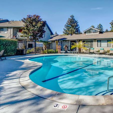 1BR/1BA Apartment on Paseo Padre Pkwy · Fremont photo 4