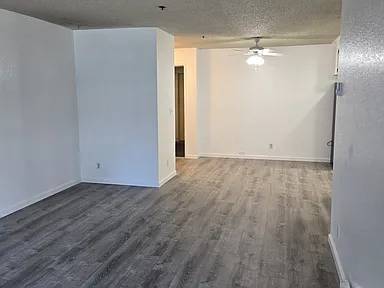 1BR/1BA Apartment on Clifford Ave · Freedom photo 3