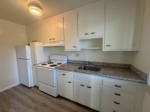 1BR/1BA Apartment · Mill Valley photo 3