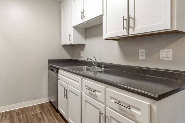 1BR/1BA Apartment · San Francisco photo 4