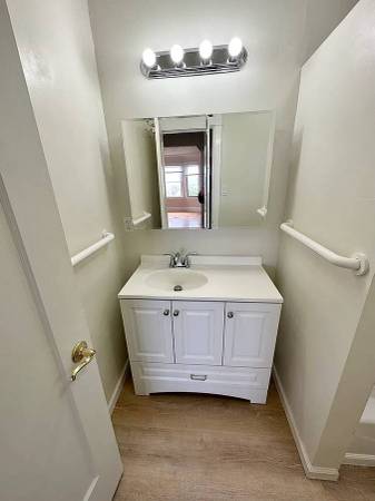 1BR/1BA Apartment · New York photo 4